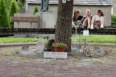 De giraffen voor Solenn (9) staan nog altijd bij het monument, maar praten over de MH17 valt Neerkan