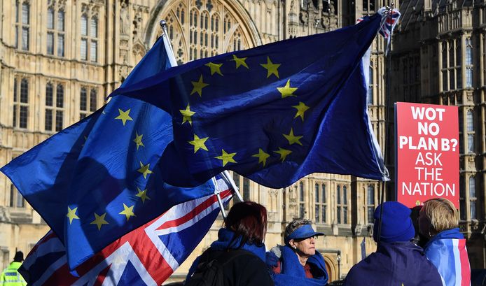 Pro-EU-campagnevoerders protesteren buiten bij het Britse Parlement in Londen.