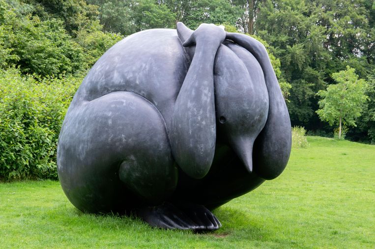 Angstig konijn (2018) in het Flevopark, Amsterdam Beeld imageselect