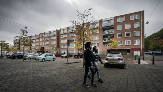 Venserpolder in Zuidoost krijgt nieuwe ‘groene woonwijk’ met 550 extra woningen