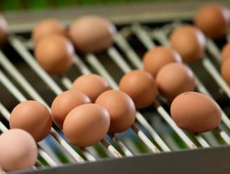 Opnieuw sporen van omstreden fipronil in Nederlandse eieren