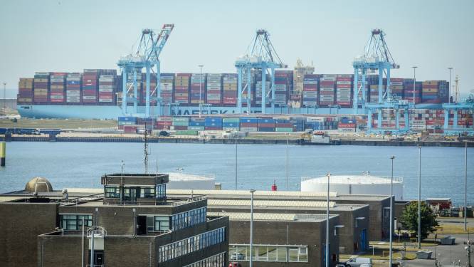 Kraanman in Zeebrugse haven die transmigranten afranselde, krijgt 4 maanden cel met uitstel: “Begrip voor moeilijke werkomstandigheden, maar gebrek aan zelfbeheersing”