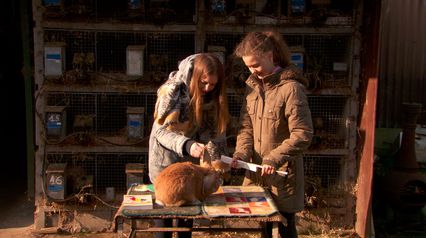 Aflevering 6