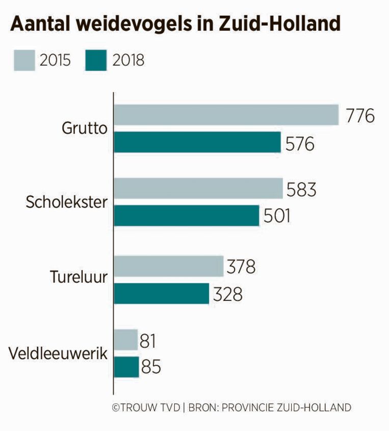 Aantal weidevogels in Zuid-Holland Beeld Provincie Zuid-Holland
