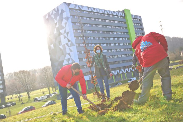 L'Échevine du Logement de la Ville de Charleroi, Laurence Leclercq, était aux premières loges pour assister à la plantation d'arbres à la Cité Parc de Marcinelle
