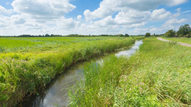 Vollere sloten in Drenthe en Overijssel: waterschap bouwt buffer op om schade door droogte tegen te gaan