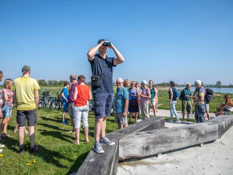 Wandelend stilstaan bij het kleine onbekende in Zwolle