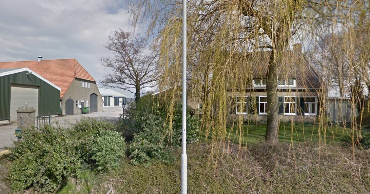 Hier in Noordhoek komen veertien nieuwbouwwoningen