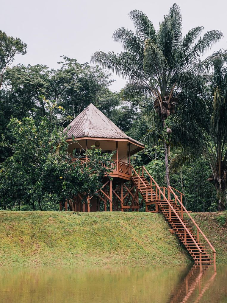 Een bungalow van het Kabalebo Nature Resort. Beeld Marcel Wogram