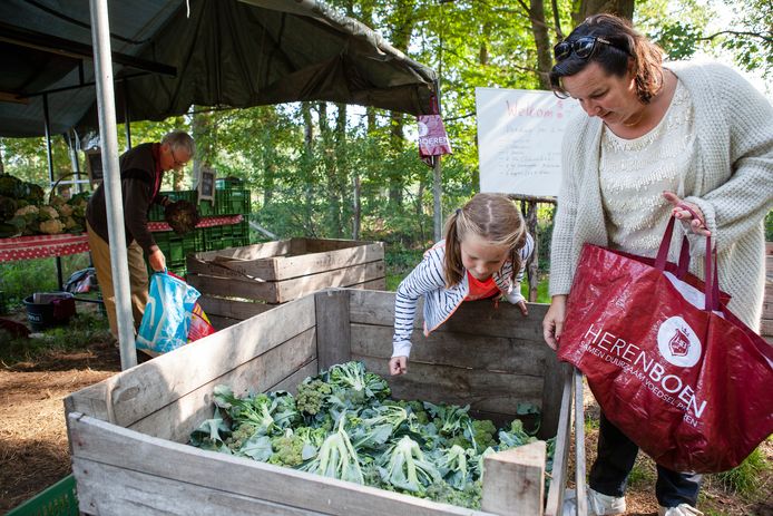 Een herenboerin en haar dochter zoeken vers geoogste biologische broccoli uit.