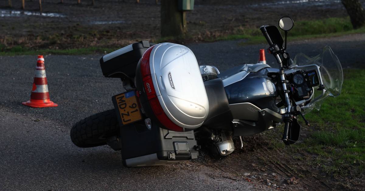 Ree dood na botsing met motor in Oirschot.