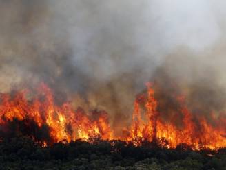 Vrijwillige brandweerman verdacht van aansteken bosbranden in Frankrijk