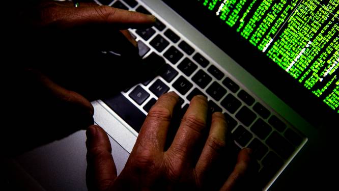 Bedrijf in Helmond ‘gegijzeld’ door hackers: ‘Opeens zit je op het Darkweb en betaal je losgeld in Bitcoins’