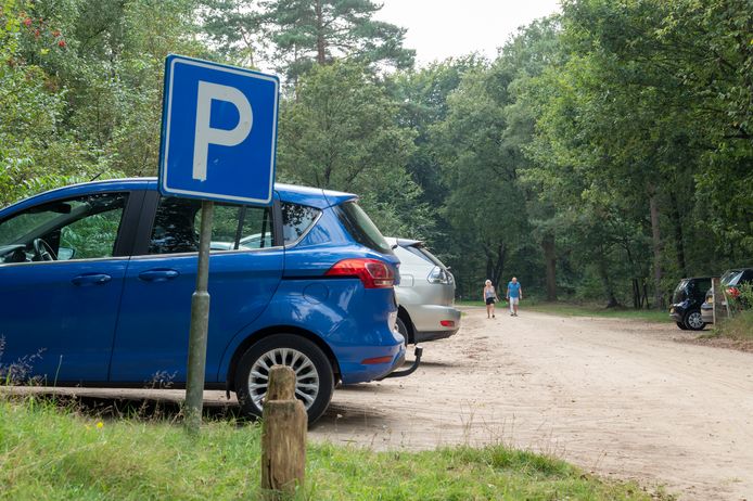 Parkeren in de Veluwse bossen gaat geld kosten.