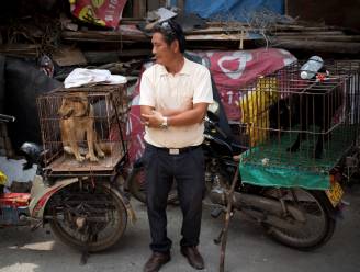 Carrefour verkoopt geen hondenvlees meer in China