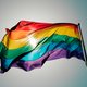 ► Op dag tegen homo- en transfobie: daders slaan tiener ineen en gooien regenboogvlag in de Schelde