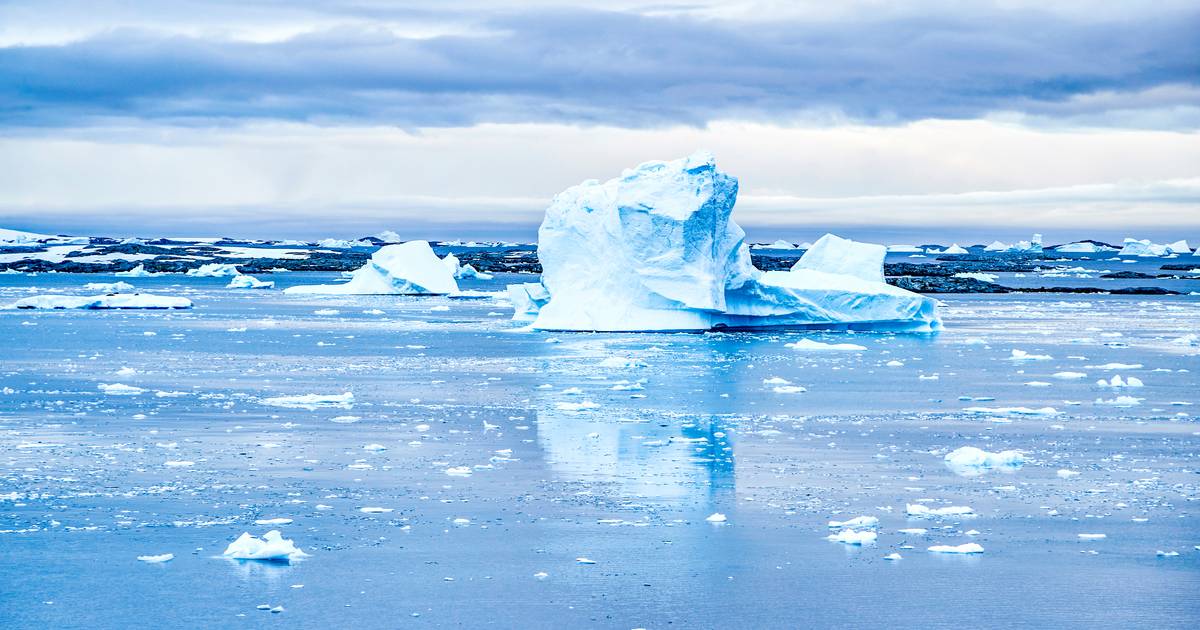 Il ghiaccio marino in Antartide al livello più basso di sempre per luglio |  scienza e pianeta