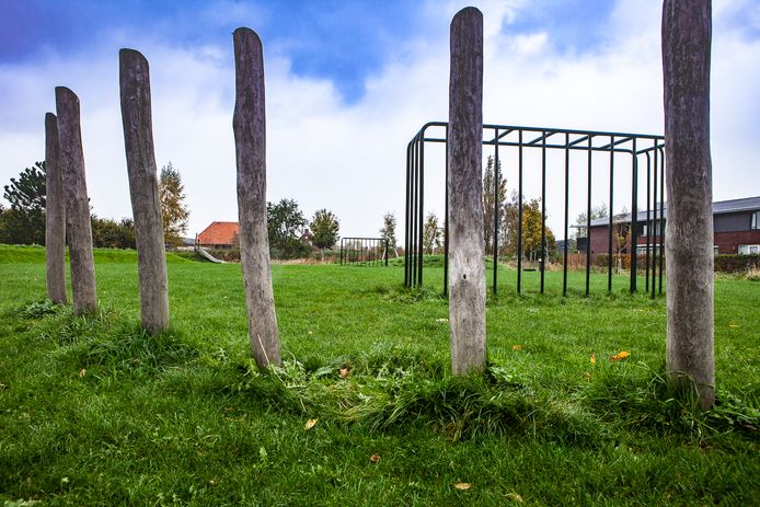 Het natuurlijke grasveldje naast de pluktuin wordt vervangen door een kunstgrasveld met kooiconstructie.