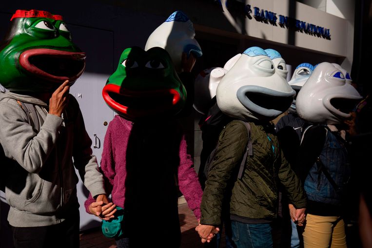 ‘Pepe the frog’. Het masker van de bekende internetmeme staat symbool voor de strijd van de betogers.
 Beeld AFP