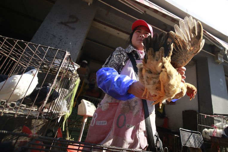Een vrouw met een kip in Shanghai. Beeld ap