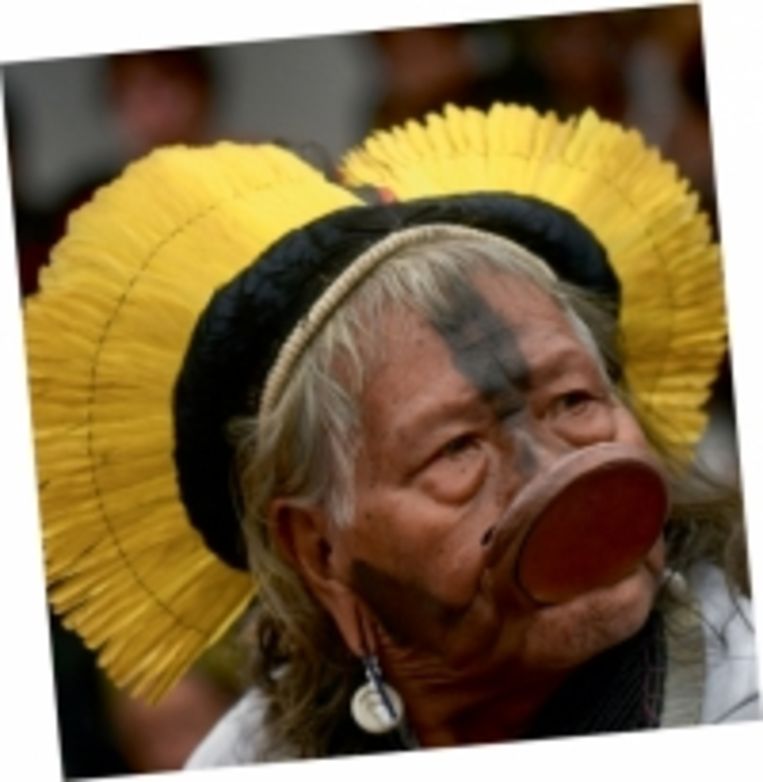null Beeld 