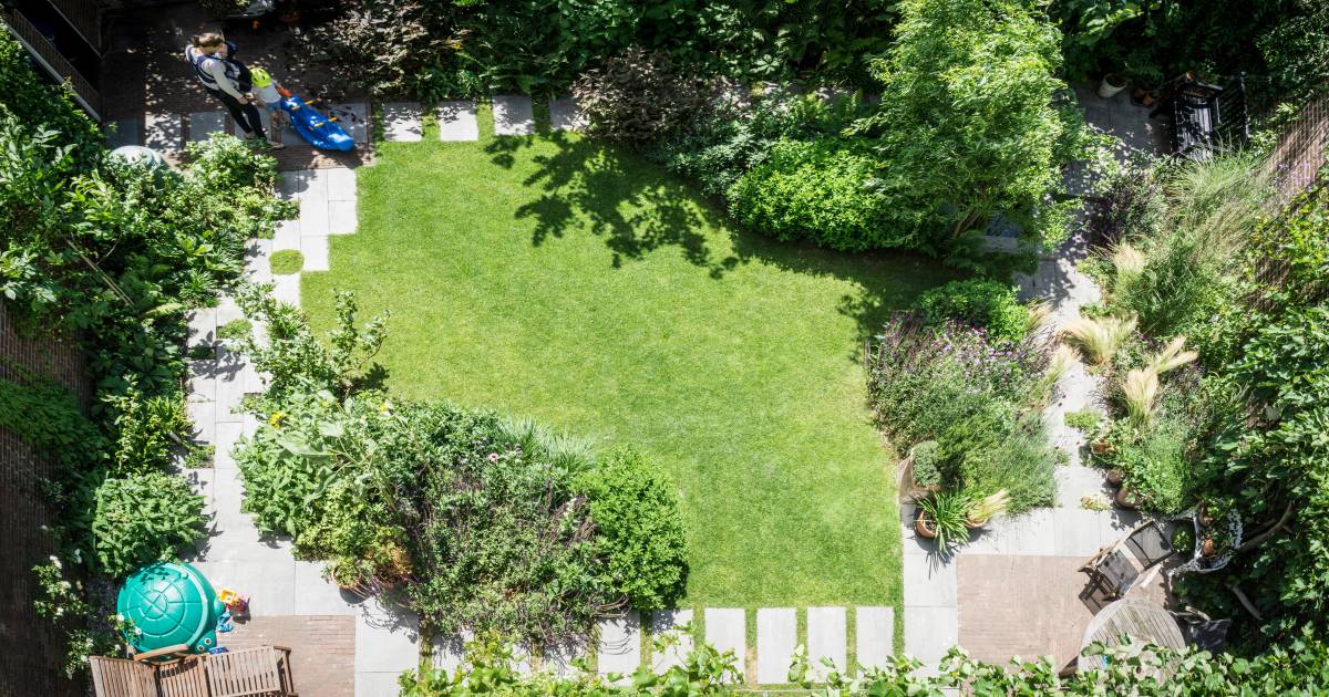 regien en jochem hebben niet alleen een paradijsje voor zichzelf gecreeerd maar ook voor bijen mijn tuin den haag en omstreken ad nl