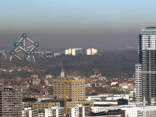 Steden spelen belangrijke rol in verbeteren luchtkwaliteit: “Initiatieven zoals de LEZ nodig voor bescherming volksgezondheid”