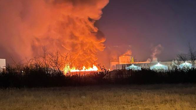 Vlammenzee bij stofferingsbedrijf in Lommel: “Het pand is volledig opgebrand, totaal verwoest”