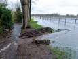 Zoveel regen in de Achterhoek is &lsquo;best uitzonderlijk&rsquo;; beken bomvol met water