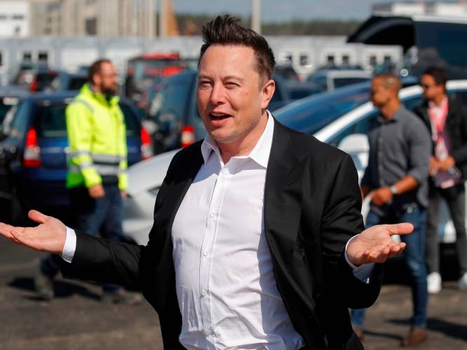 Elon Musk stopt chip van computergame in hersenen van levend aapje