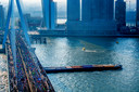 Lopers gaan over de Erasmusbrug tijdens de marathon van Rotterdam in 2019.