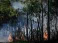 Ongeveer 500 personen geëvacueerd vanwege bosbrand Zuid-Frankrijk
