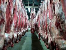 Vleestaks kan boeren uit de stikstofcrisis helpen