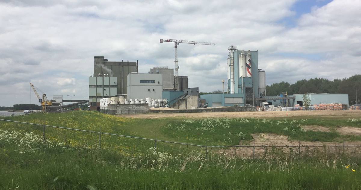Nieuwe fabriek Feedvalid in Poederoijen schiet de hoogte in
