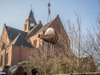 Nu zaterdag opening pastorietuin Erembodegem met voorstelling natuurkunst
