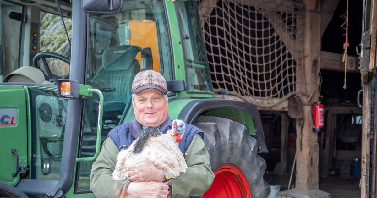 Jan Sandee, boer in ruste: ‘Een ritje met de tractor, daar knap ik enorm van op’