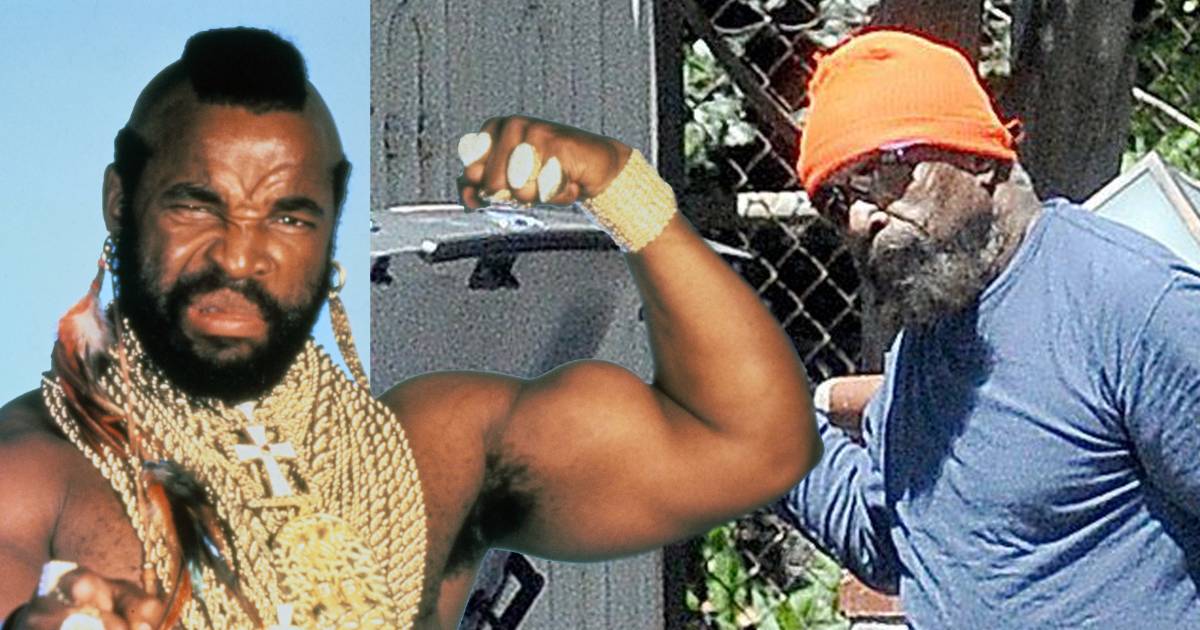 laurence tureaud 2023