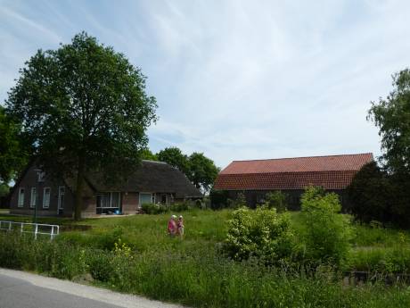 Ontwikkelaar vraagt meer tijd voor ‘haalbaarder woningbouwplan’ in Lopikerkapel