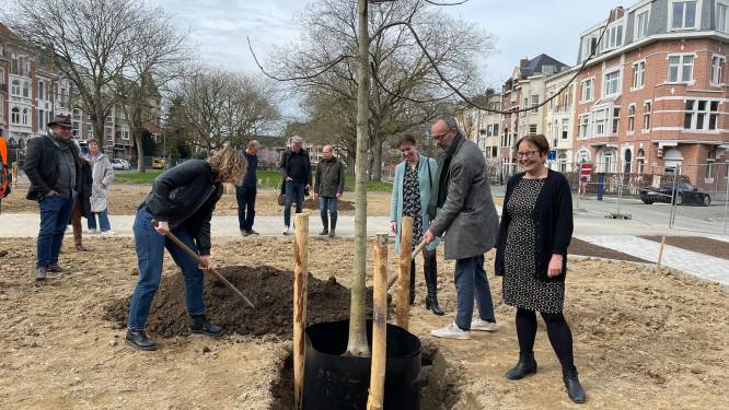 1.500 vierkante meter asfalt weg in Miljoenenkwartier: eerste bomen aangeplant
