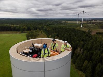 Zweden bouwt gigantische windturbine met ‘hout van kerstbomen’ en lijm
