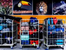 Duizenden achtergebleven koffers verstikken Schiphol, structurele oplossing 'vergt jaren'