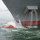 Containerschip schept walvis en sleept 'm mee naar Rotterdam