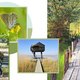 12x de mooiste vlonderpaden van Nederland