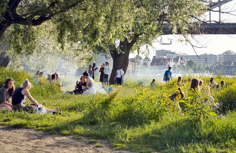 'Zonder verandering gaan toekomstige generaties over minder milieubronnen beschikken, wat een negatieve impact zal hebben op hun welzijn', stelt het Federaal Planbureau. Beeld Hollandse Hoogte / Flip Franssen