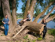Bewoners woonbootenclave en milieudefensie hopen dat beverfamilie Arnhems bouwproject ondergraaft