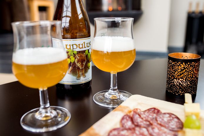 Brouwerij Lupulus