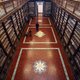Bibliotheekbaas ontpopt zich als spin in web van boekendieven
