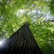 Nederland veroorzaakte 40 miljard euro schade aan biodiversiteit
