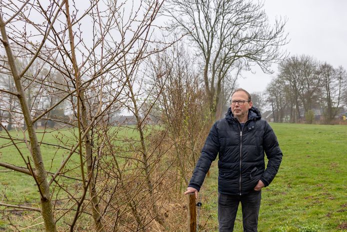 Grondeigenaar Gerard Kralen bij zijn elzensingel met de drie jaar geleden aangeplante bomen.