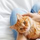Vermiste kat keert direct terug nadat baasje ontwaakt uit coma